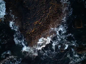 Giant's Causeway from Above