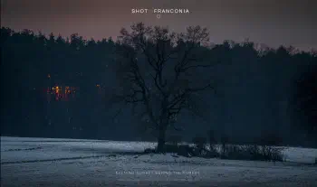 Evening sunset behind the forest