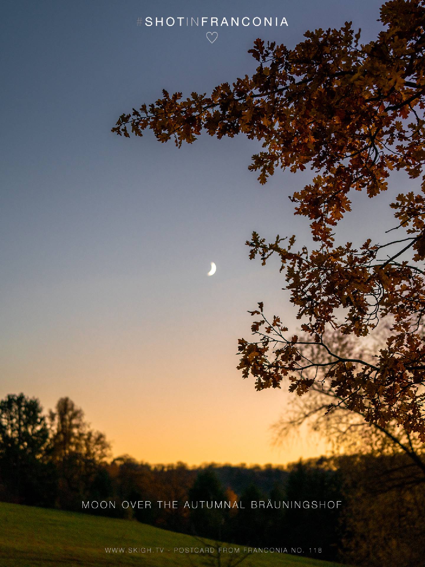 Moon over the autumnal Bräuningshof 