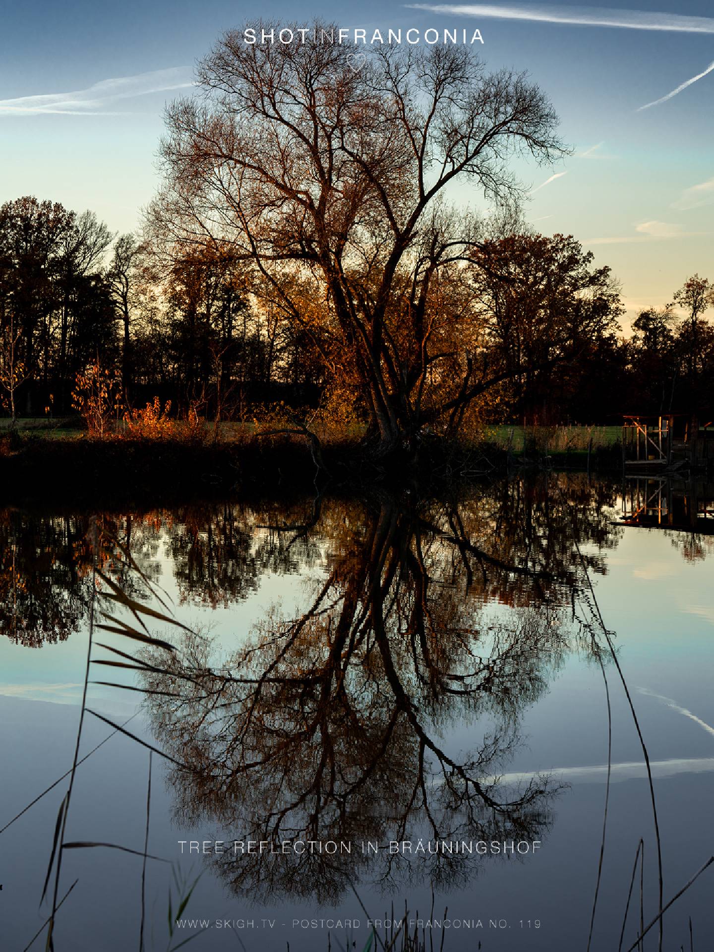 Tree reflection in Bräuningshof | 1/60s * f8 * ISO 200 * 70mm - FE 70-300mm F4.5-5.6 G OSS - Sony α7R III Tree reflection in Bräuningshof