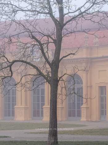 Orangerie in Erlangen