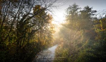 Misty morning at the Schwabach 