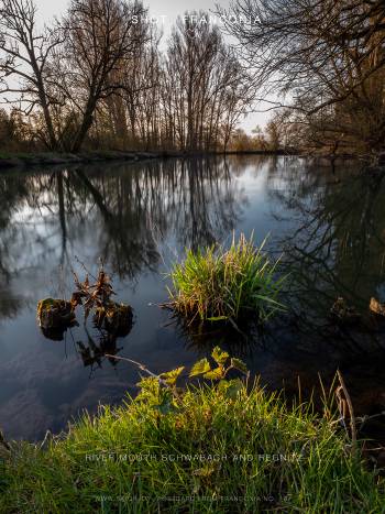 River mouth Schwabach and Regnitz