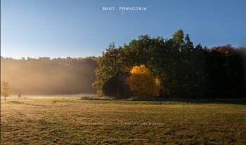 Walking the dog on sunny autumn morning