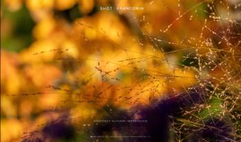 Abstract autumn impression