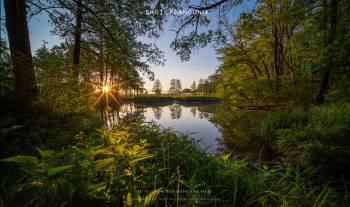 Mittlerer Schwanenweiher