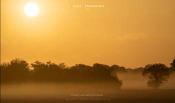 Foggy autumn morning