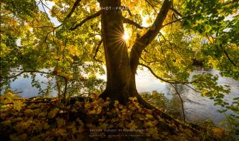 Before sunset at river Regnitz