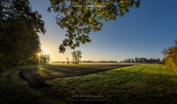 Good morning Neunhof