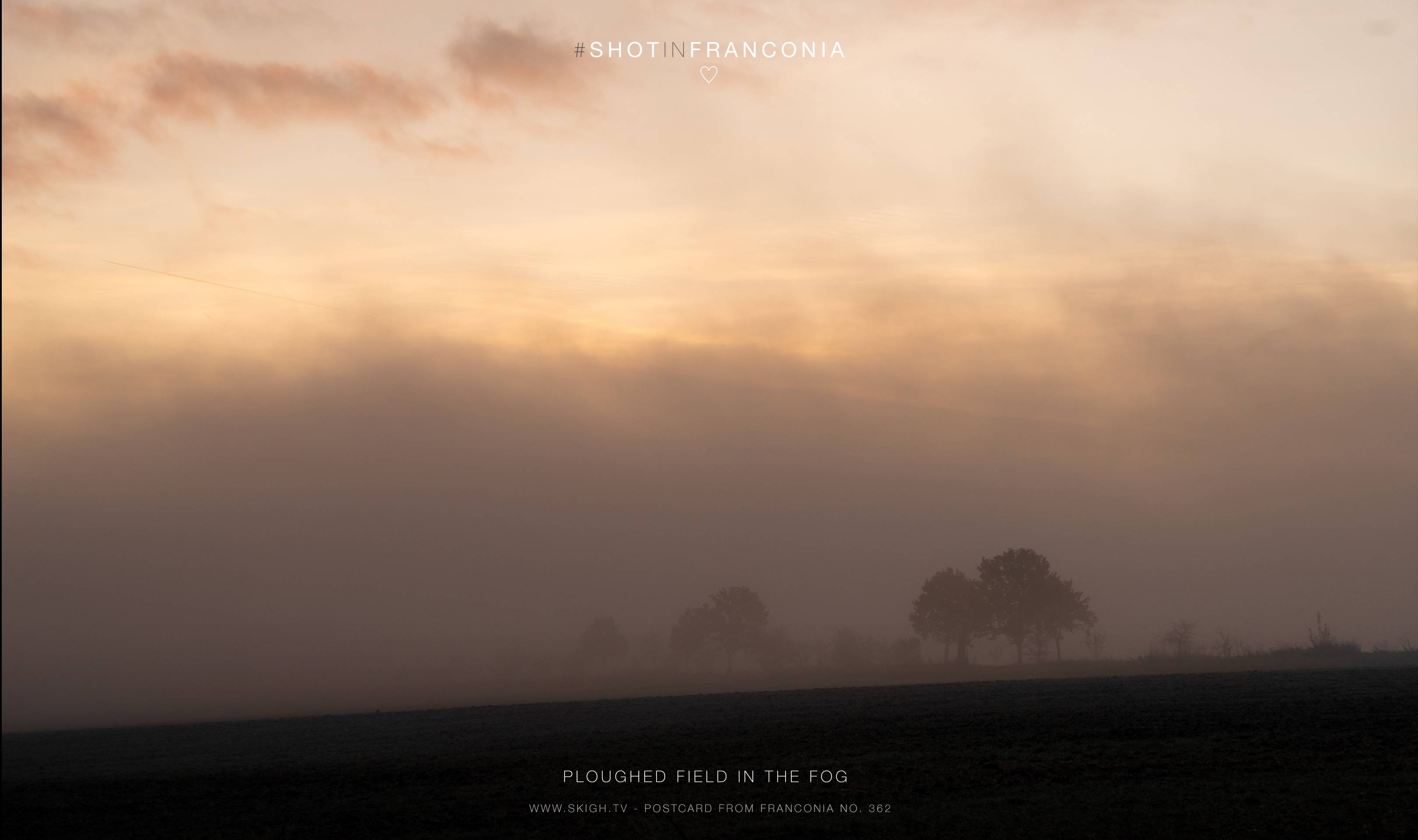 Ploughed field in the fog