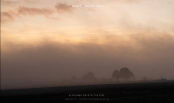 Ploughed field in the fog