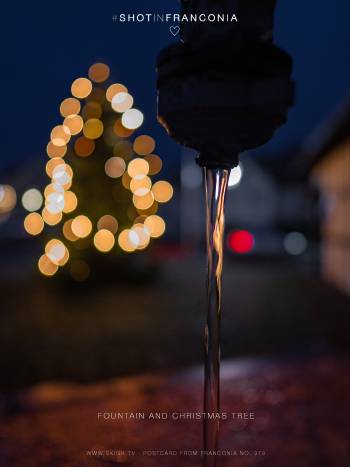 Fountain and Christmas tree