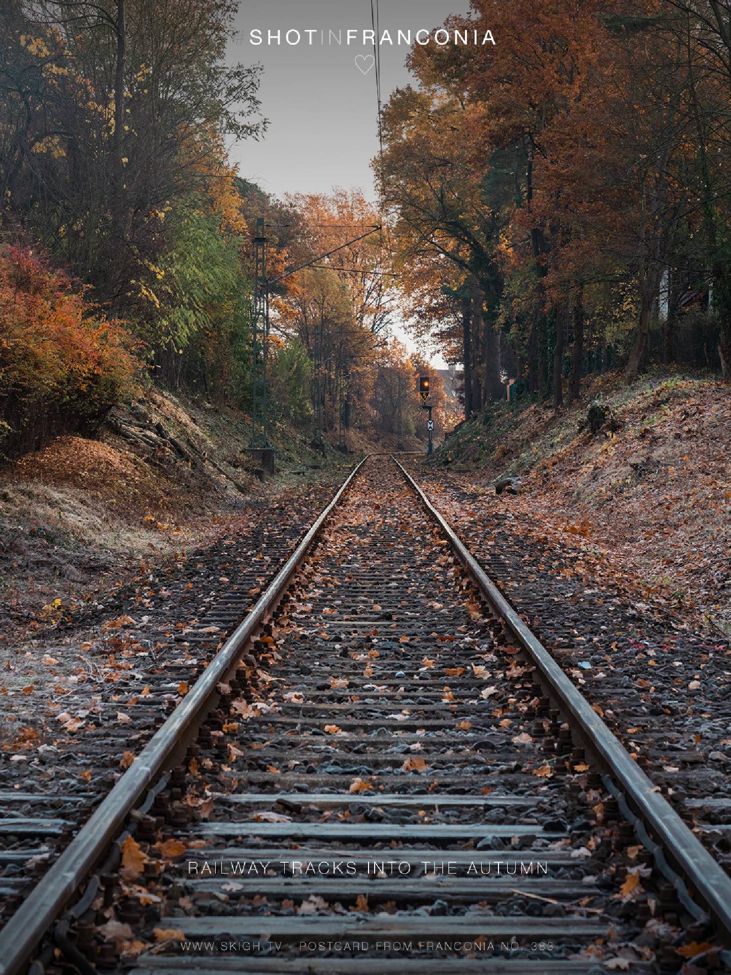 Railway tracks into the autumn