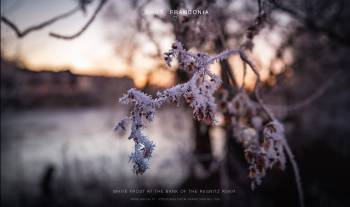 White frost at the bank of the Regnitz river