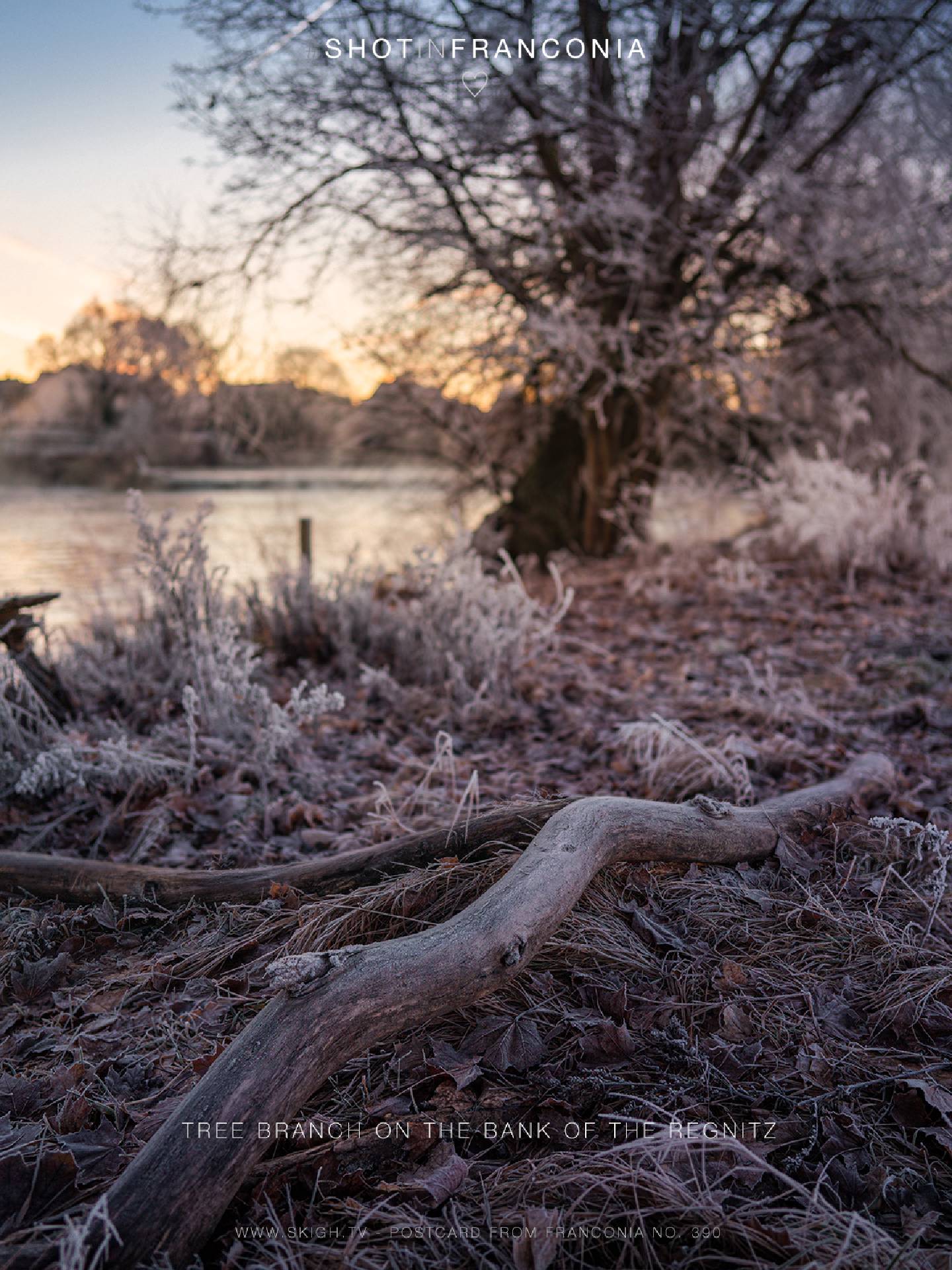 Tree branch on the bank of the Regnitz | 1/60s * f10 * ISO 500 * 24mm - FE 24mm F1.4 GM - Sony α7R III Tree branch on the bank of the Regnitz