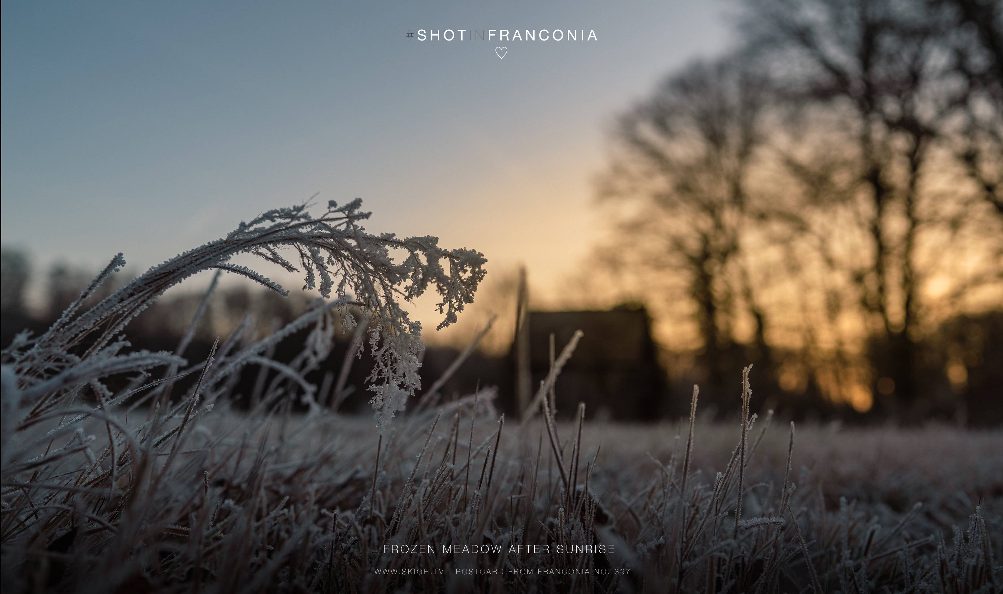 Frozen meadow after sunrise | 1/400s * f3.5 * ISO 100 * 24mm - FE 24mm F1.4 GM - Sony α7R III Frozen meadow after sunrise