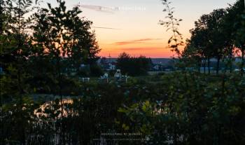 Beekeeping at sunset