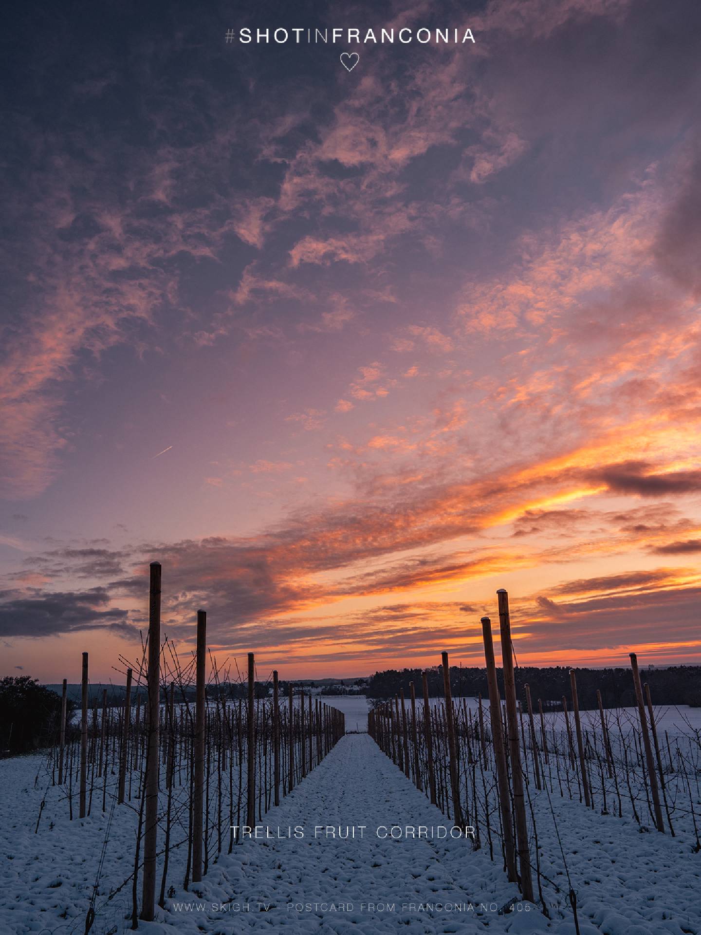 Trellis fruit corridor