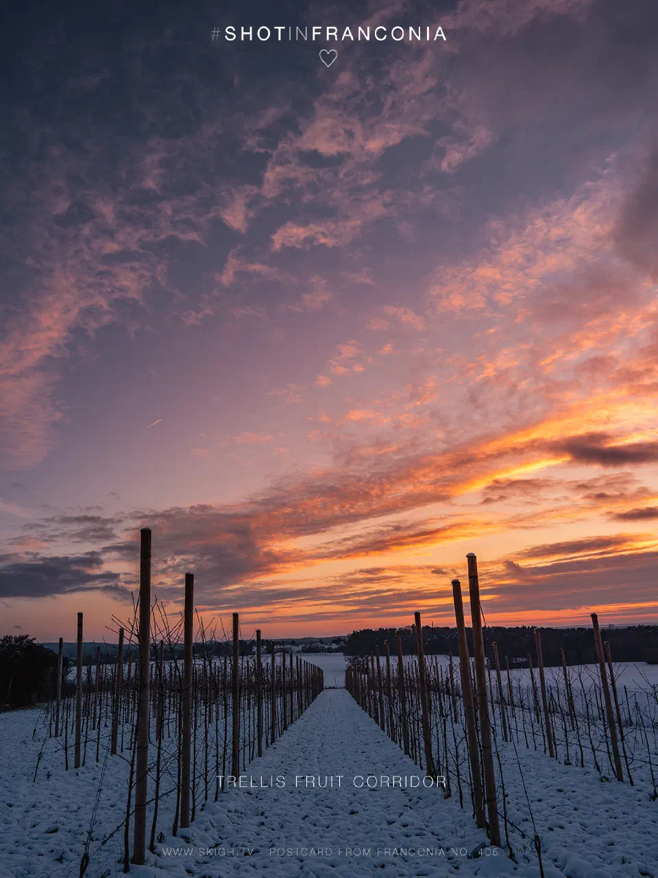 Trellis fruit corridor