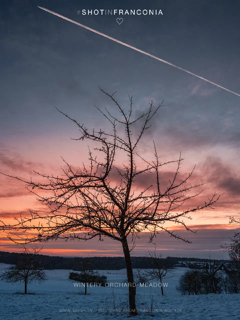 Wintery orchard meadow