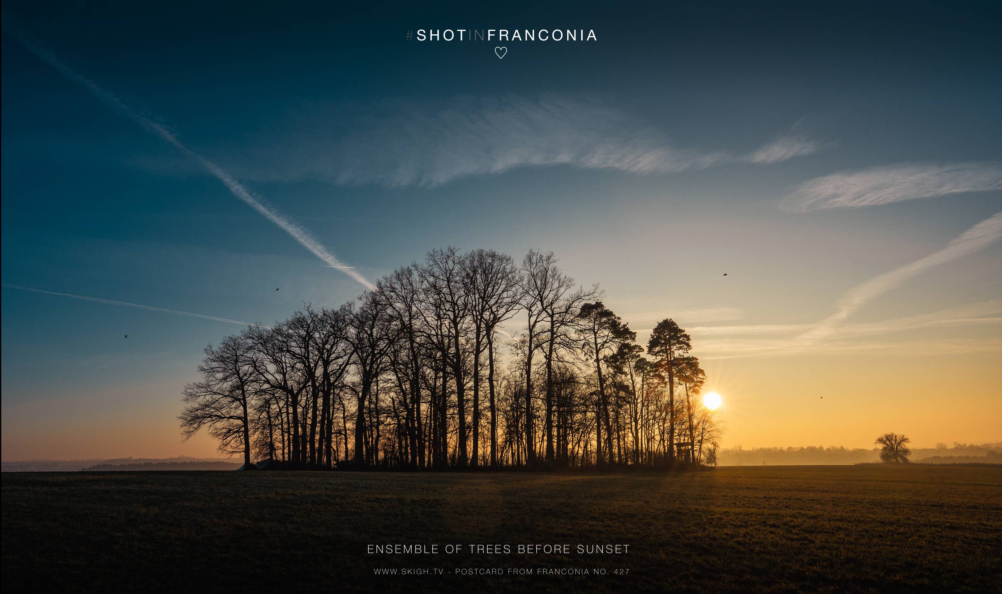 Ensemble of trees before sunset | 1/250s * f11 * ISO 100 * 24mm - FE 24mm F1.4 GM - Sony α7 IV Ensemble of trees before sunset