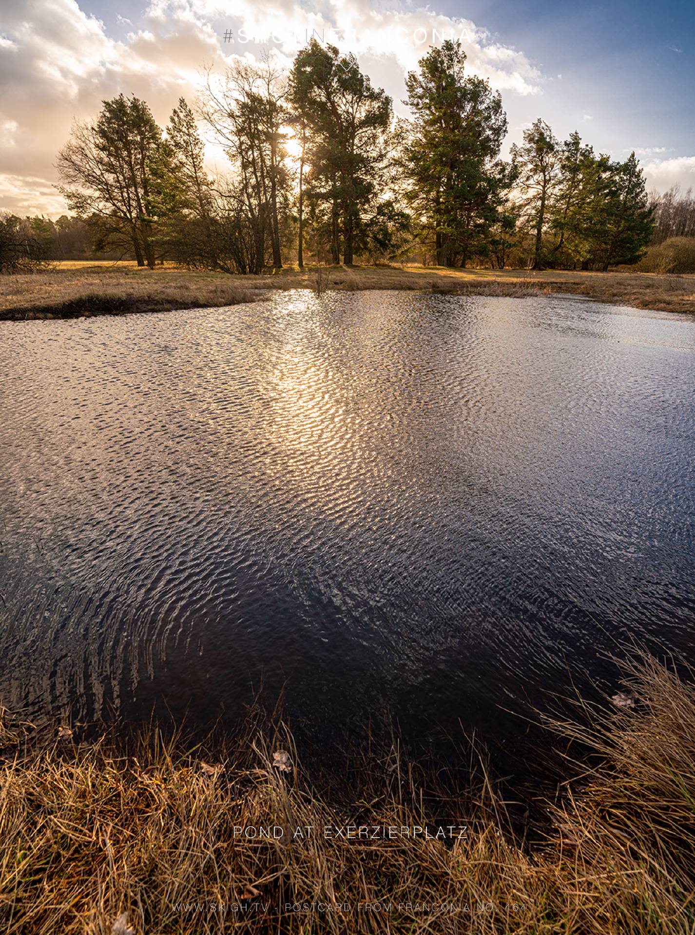 Pond at Exerzierplatz | 1/200s * f6.3 * ISO 100 * 14mm - 14-24mm F2.8 DG DN | Art 019 - Sony α7R III Pond at Exerzierplatz