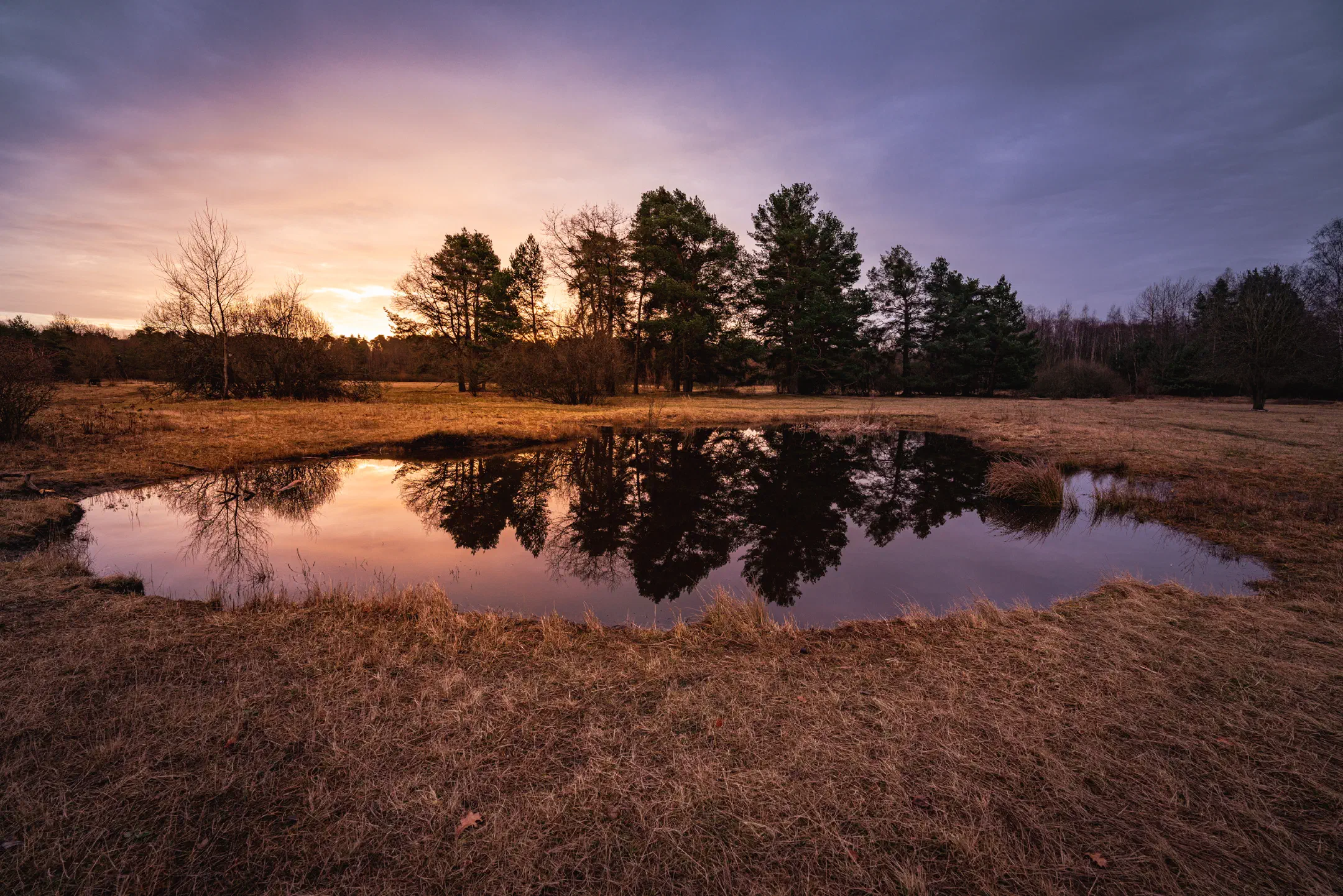 Pond at Exerzierplatz