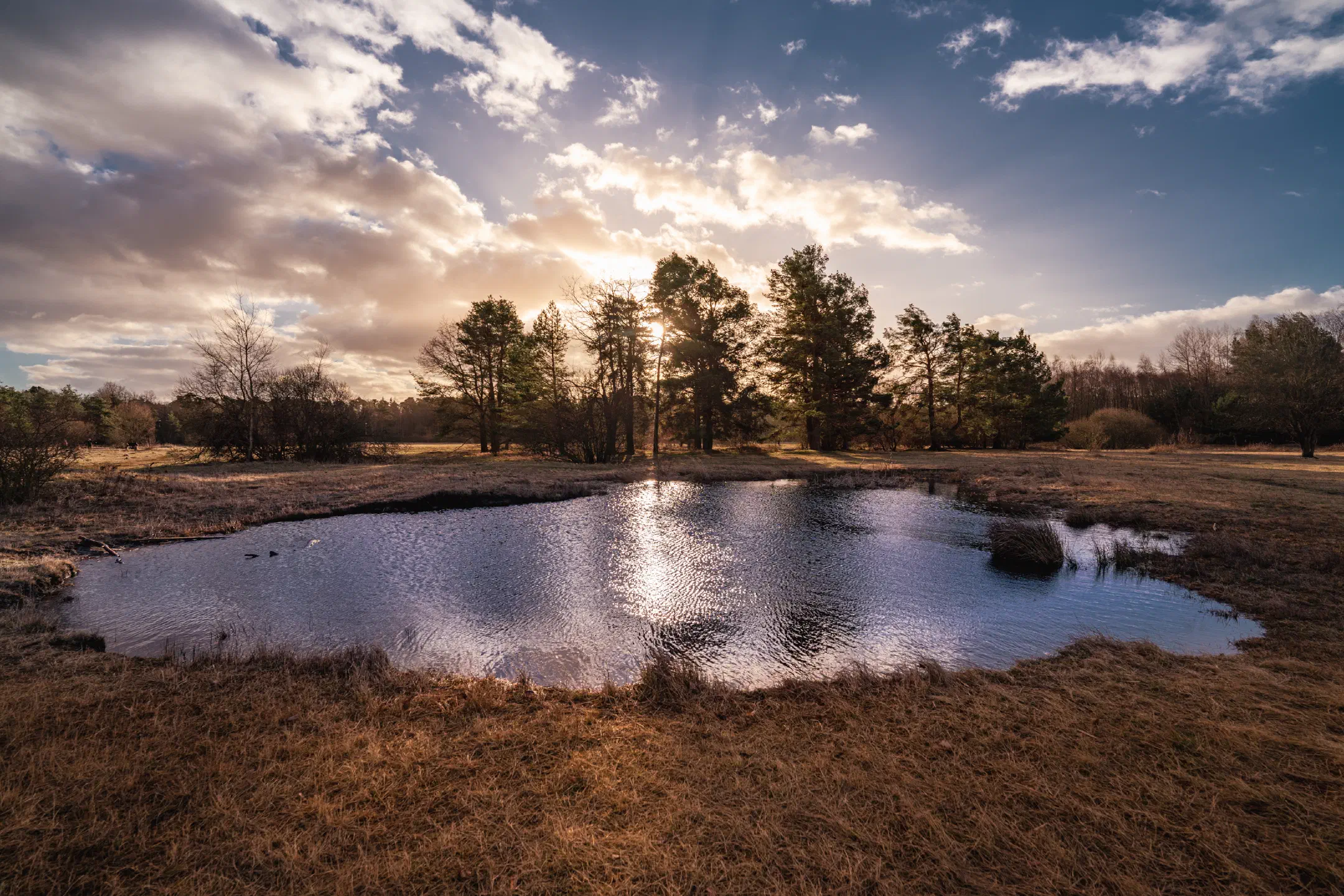 Pond at Exerzierplatz