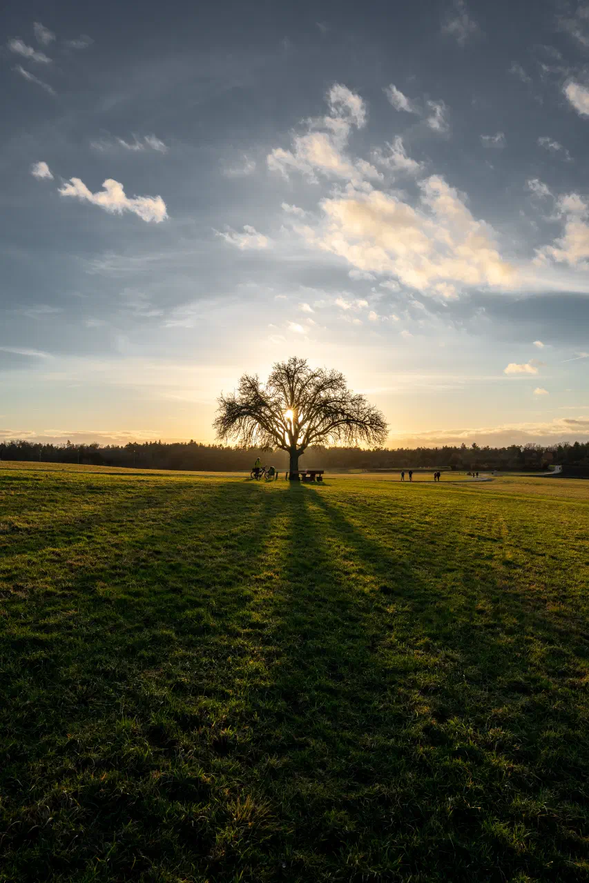 Sunset at Kalchreuth