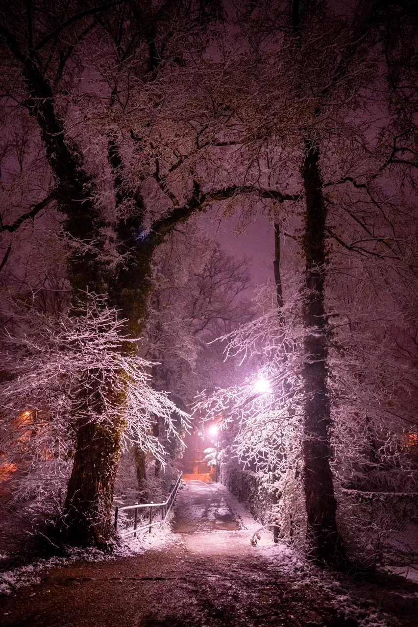 Low pressure area "Jana" brings new snow