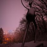 Nightwalk through Skulpturengarten