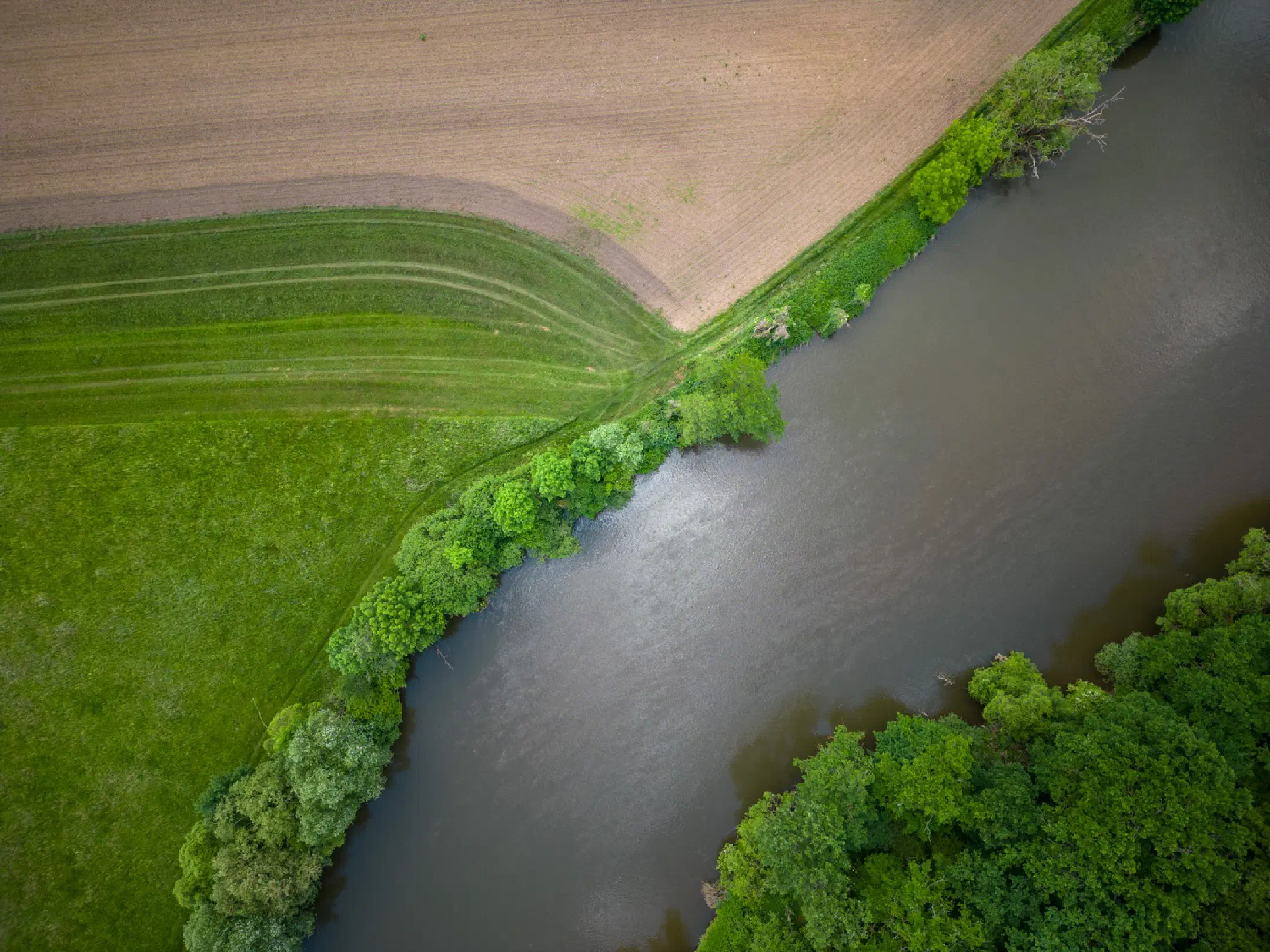 Where the Regnitz flows around the bend