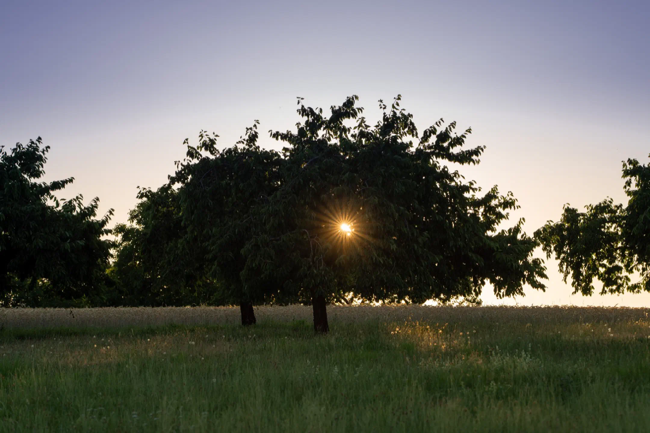 Sunset at Marloffstein