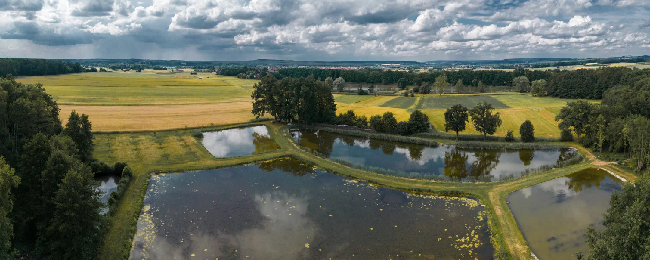 Neuweiher Langensendelbach
