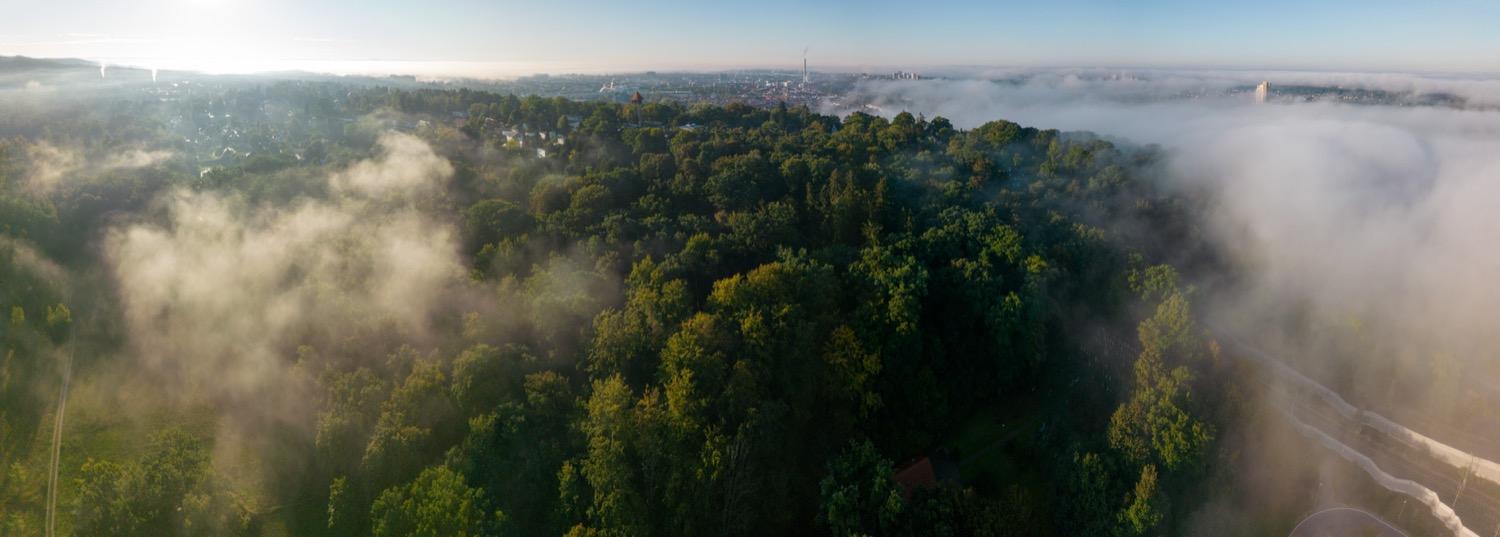 Langer Johann in fog