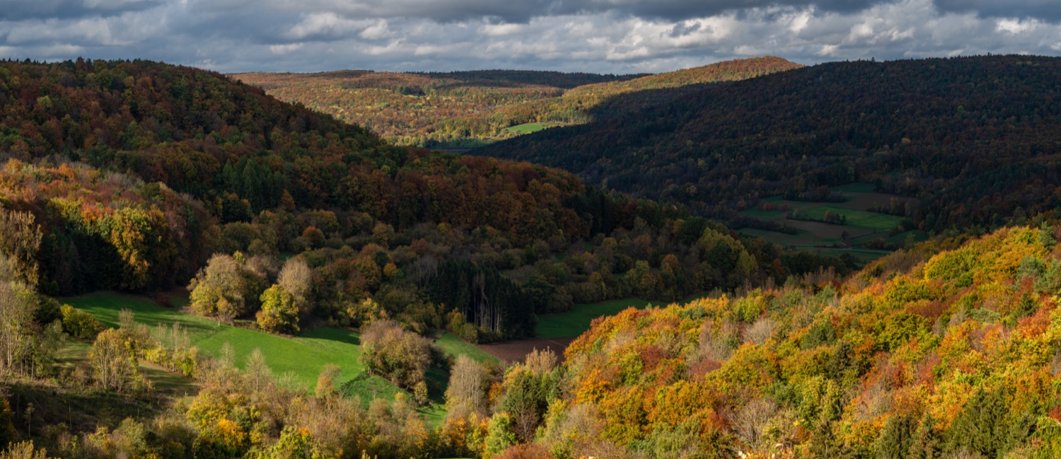 View over Hundshaupten's autumn forests