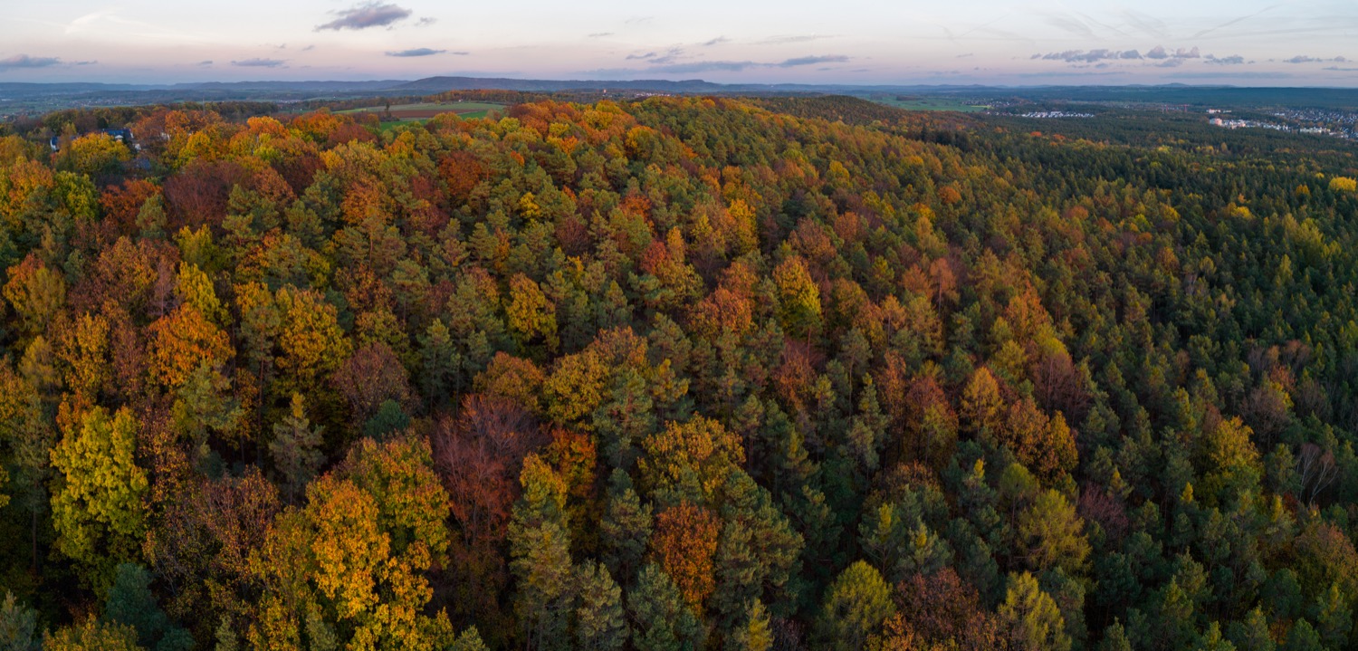 Meilwald from above