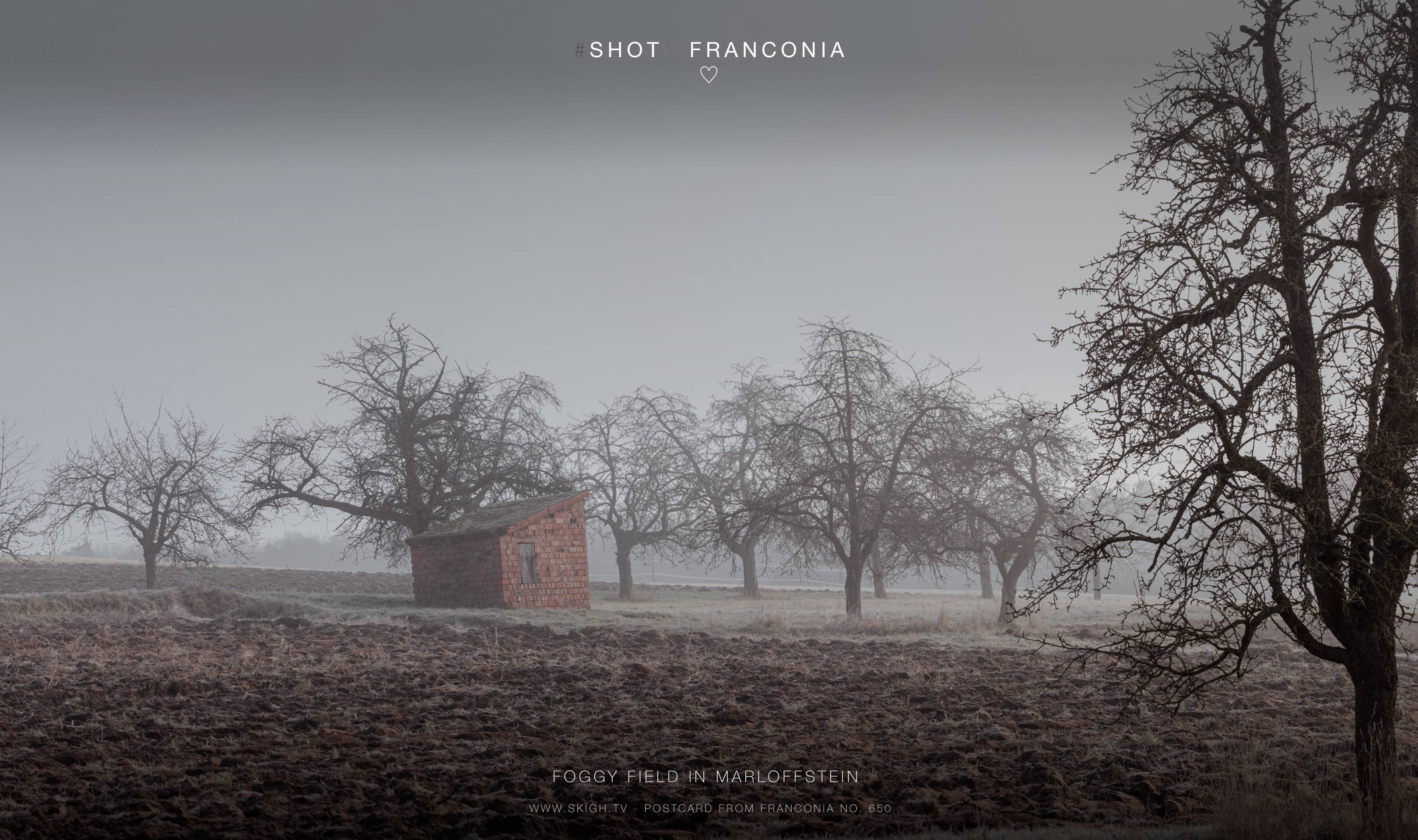 Foggy field in Marloffstein | 1/400s * f8 * ISO 200 * 135mm - SAMYANG AF 135mm F1.8 - Sony α7R III Foggy field in Marloffstein