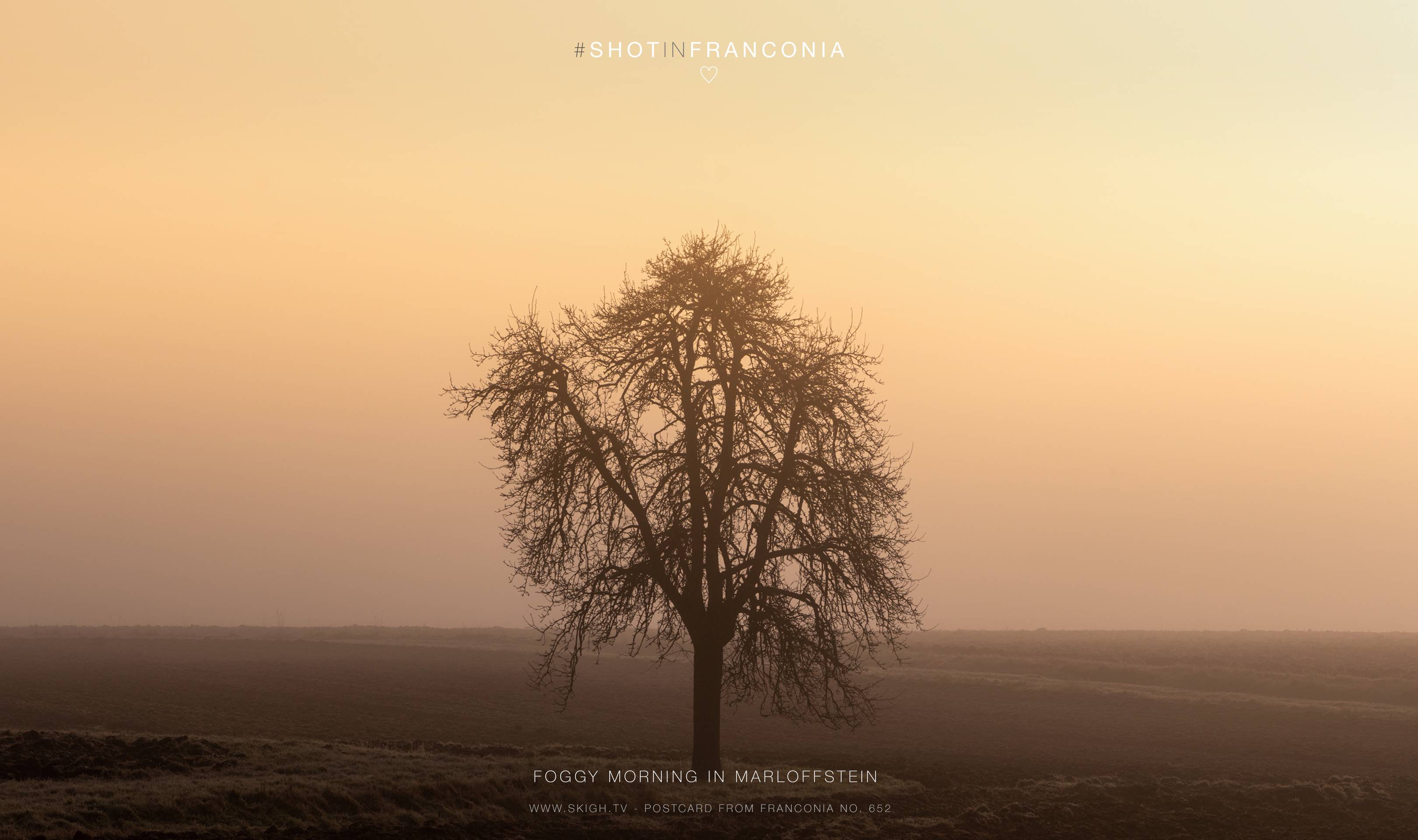 Foggy morning in Marloffstein | 1/1600s * f8 * ISO 200 * 135mm - SAMYANG AF 135mm F1.8 - Sony α7R III Foggy morning in Marloffstein