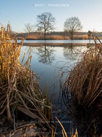 Reflections in Neuweiher