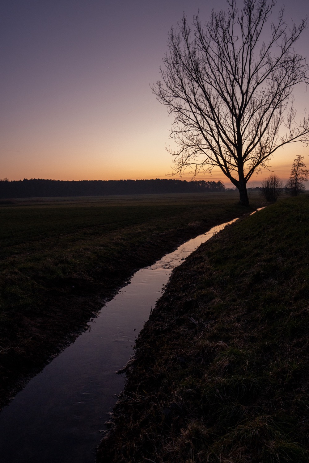 Creek in Igelsdorf