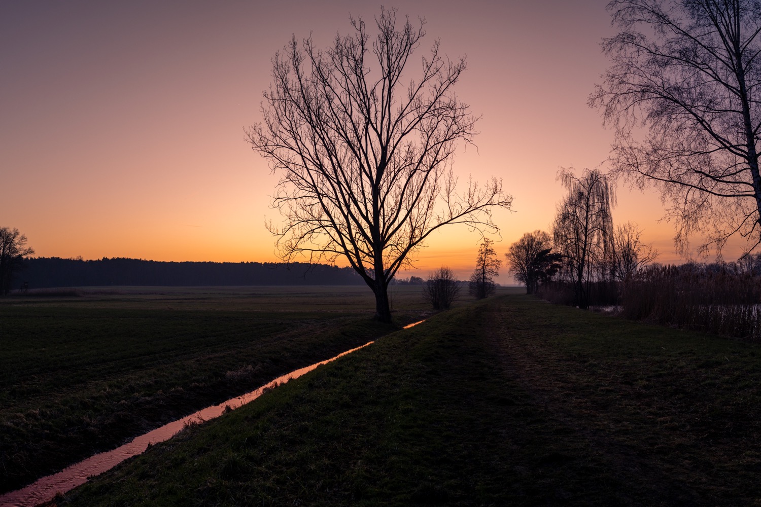 After sunset in Igelsdorf