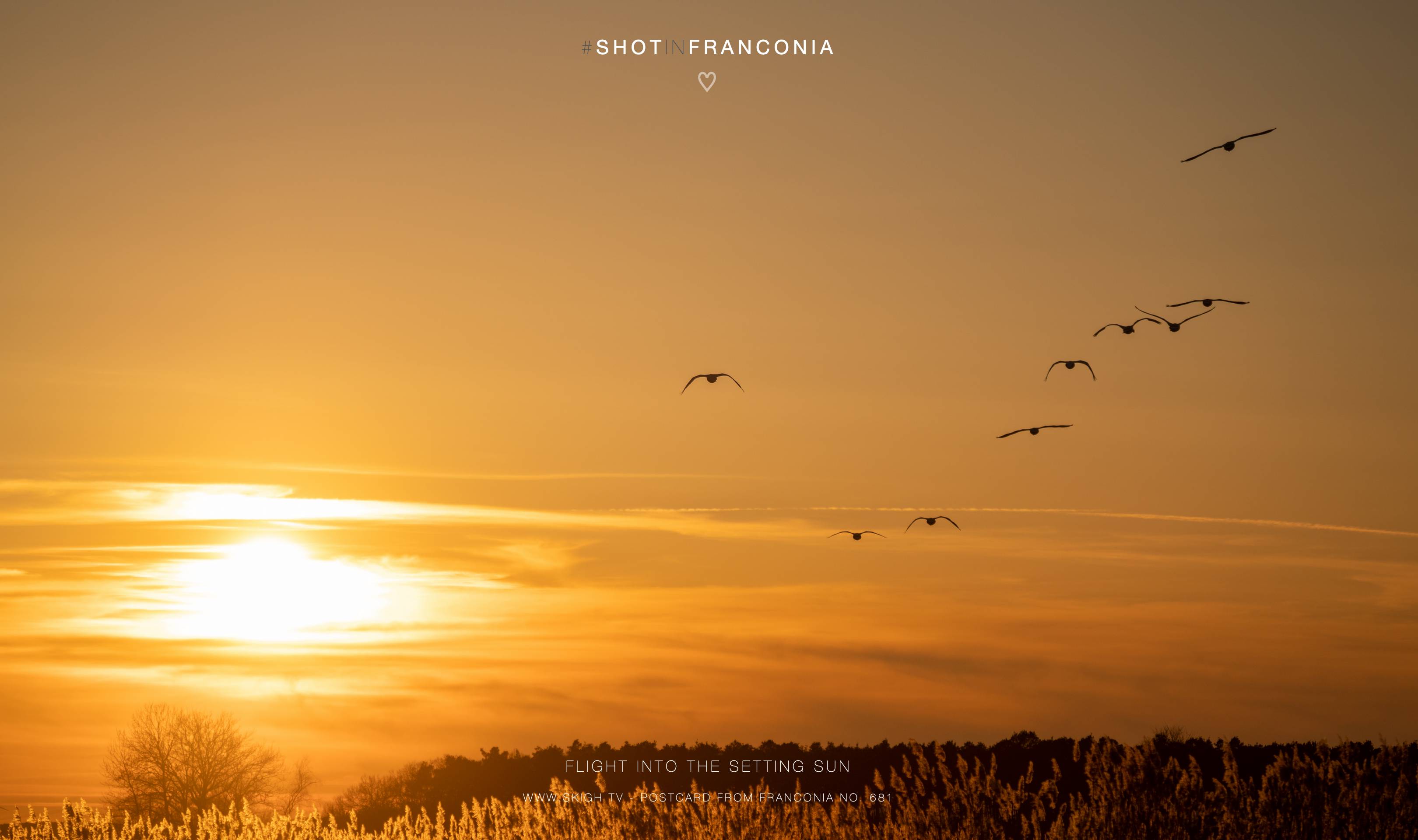 Flight into the setting sun