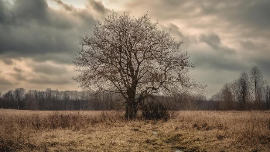 Midjourney's artificial take on: 'Lonesome tree'