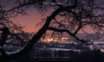 fruit tree with view of wintry neunkirchen