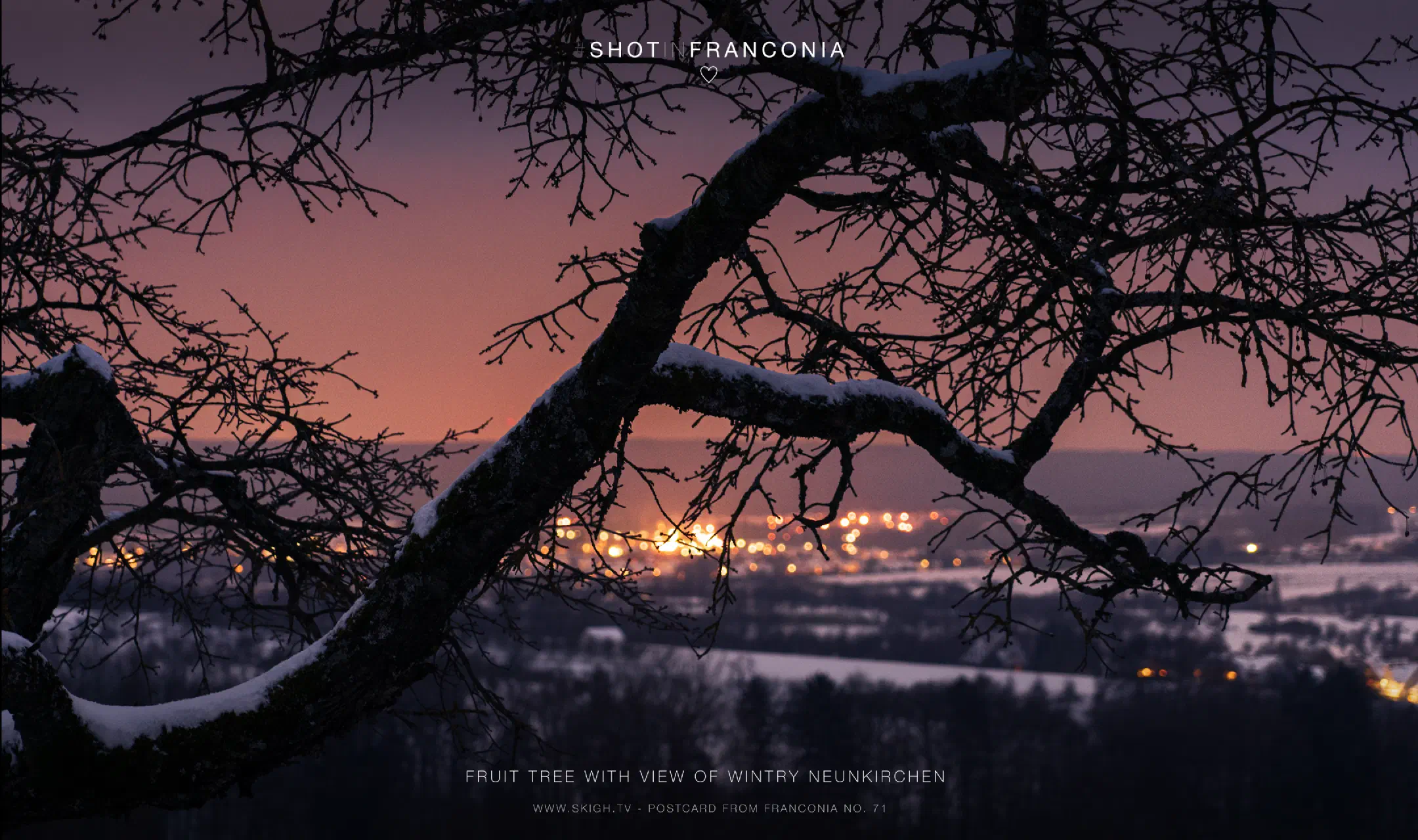 fruit tree with view of wintry neunkirchen
