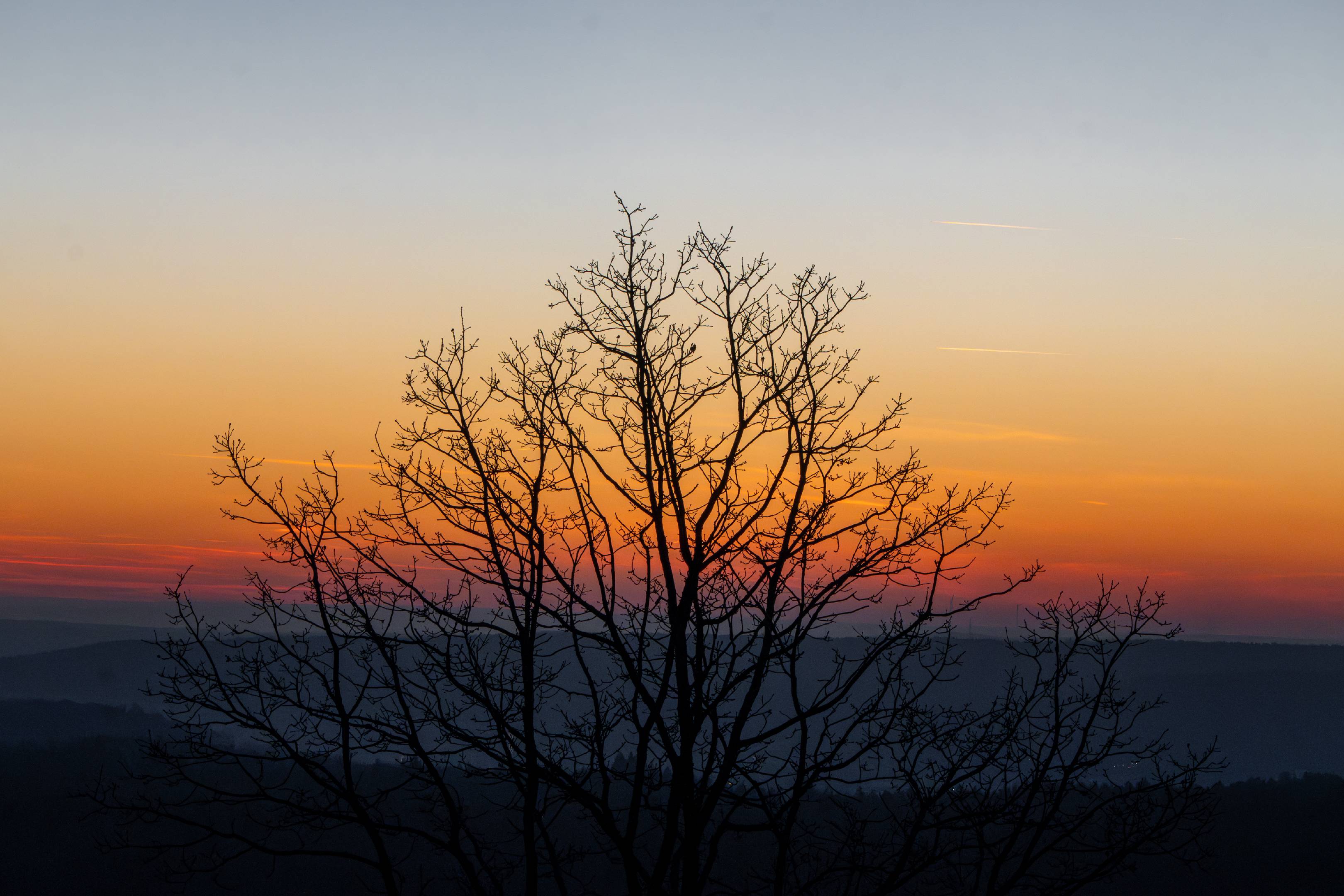 Winter Sunset Silhouette