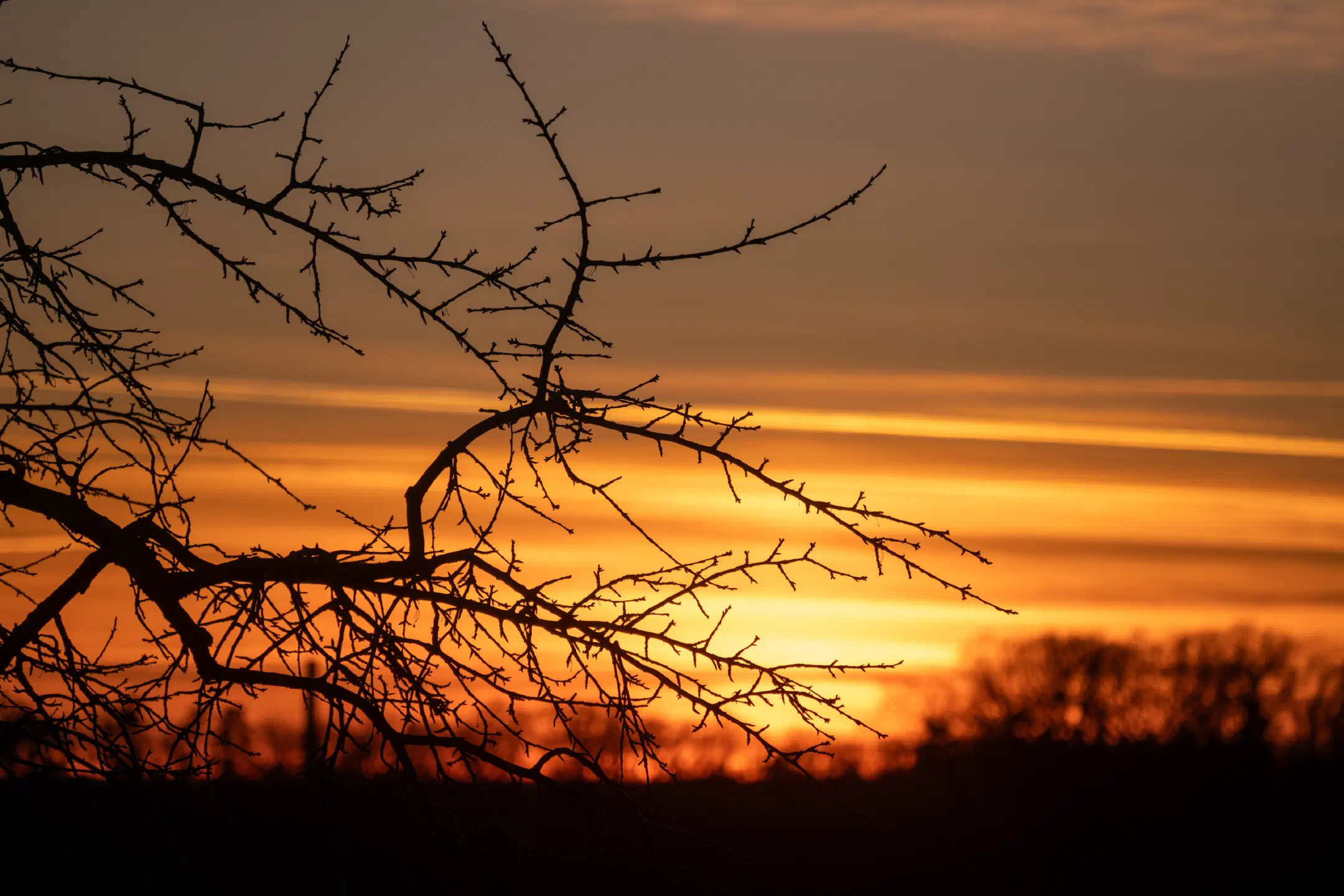 After sunset