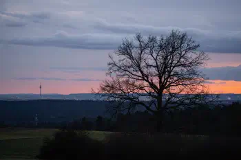 Nuremberg and Fürth