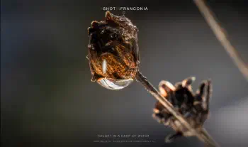 Caught in a drop of water